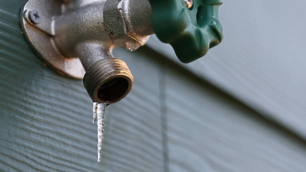Best Plumbing Services Near Me  in Evansville, WI